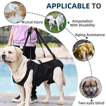 Cyan TrendyPet's Zone portable dog lift harness with adjustable strap and soft lining, designed for easy lifting and support.