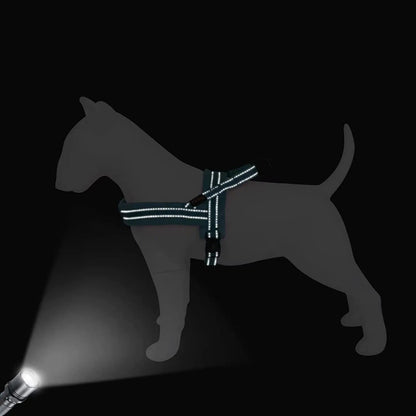 Cyan Warm Harness Vest Winter Soft Padded Pet Training Adjustable For Small Large Dog Puppy - TrendyPet's Zone