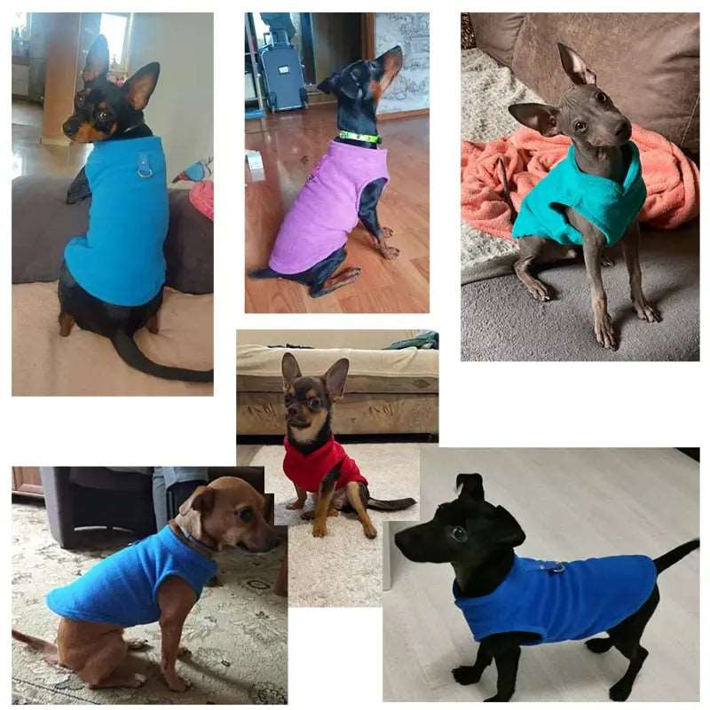 Cyan Winter Fleece Pet Dog Clothes Puppy Costumes Jacket Vest TRENDYPET'S ZONE