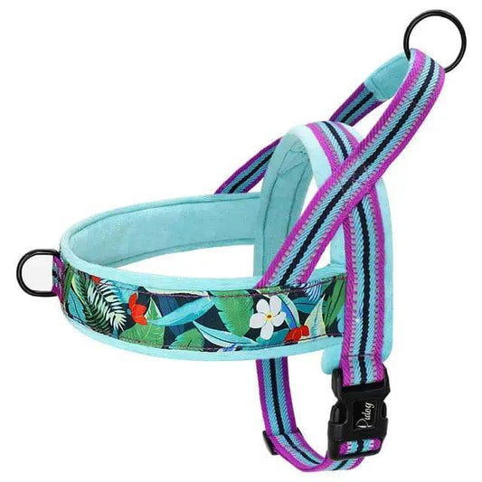 Cyan With Flower Warm Harness Vest Winter Soft Padded Pet Training Adjustable For Small Large Dog Puppy - TrendyPet's Zone