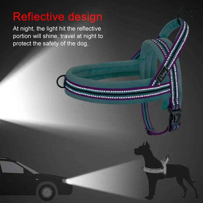 Cyan With Lines Warm Harness Vest Winter Soft Padded Pet Training Adjustable For Small Large Dog Puppy - TrendyPet's Zone