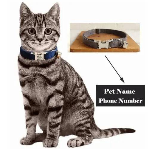Dark Brown Cat Small Dog Collar with Bell Personalized Engraving ID Tag Nameplate Kitten Collars Necklace Small Dogs Puppy Bulldog Chihuahua Yorshire TRENDYPET'S ZONE