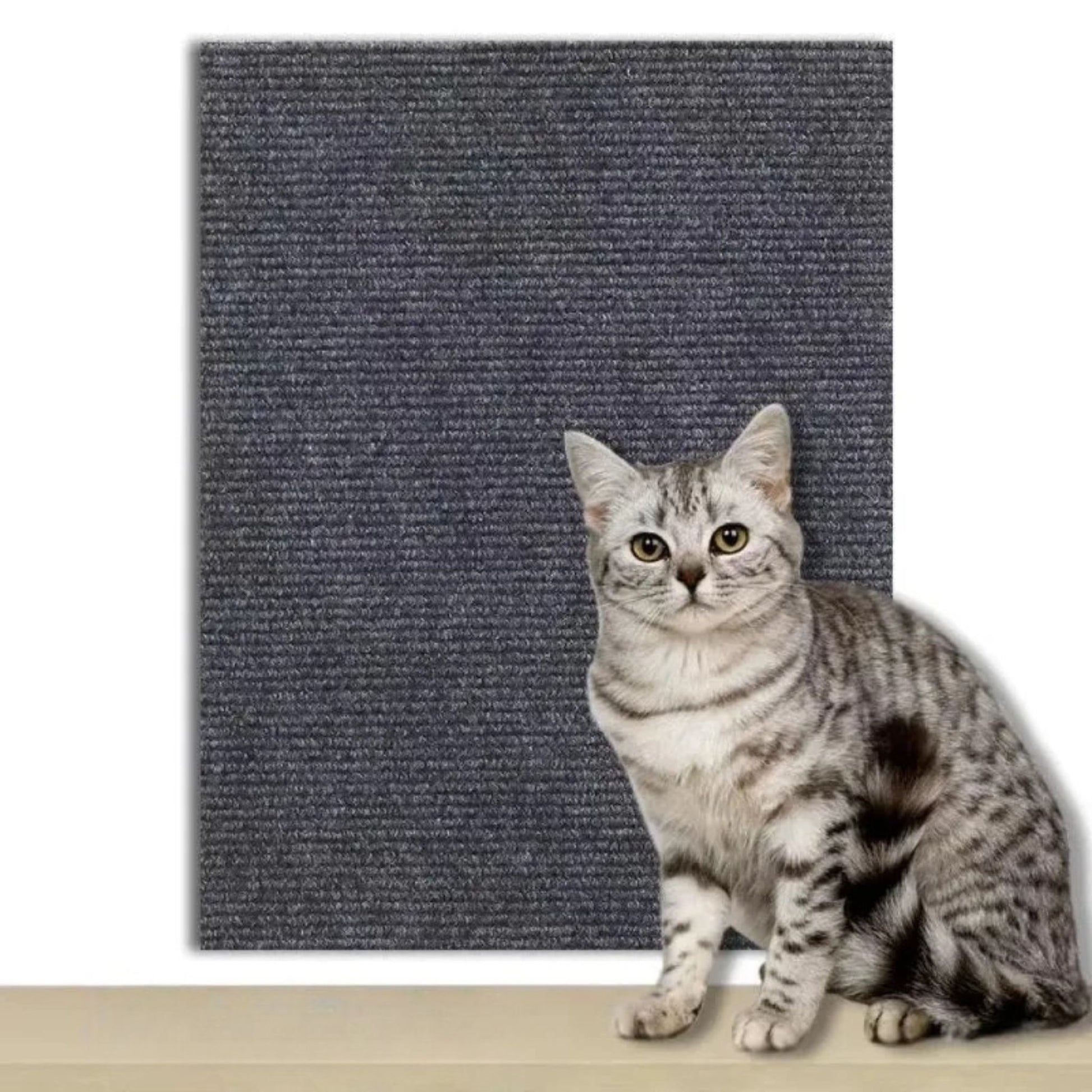 Dark gray durable cat scratch mat by TrendyPet's Zone, trimmable and self-adhesive for effective cat scratch protection.
