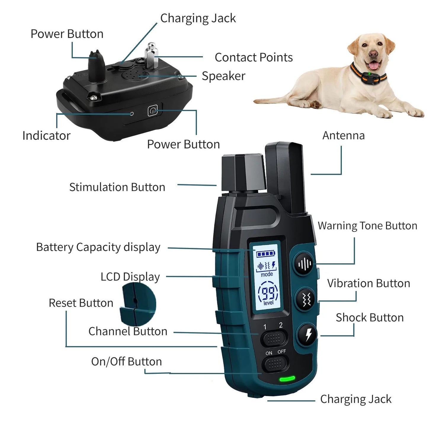 Dark green and black TrendyPet's Zone dog training shock collar with remote, waterproof, rechargeable, suitable for small to large dogs.