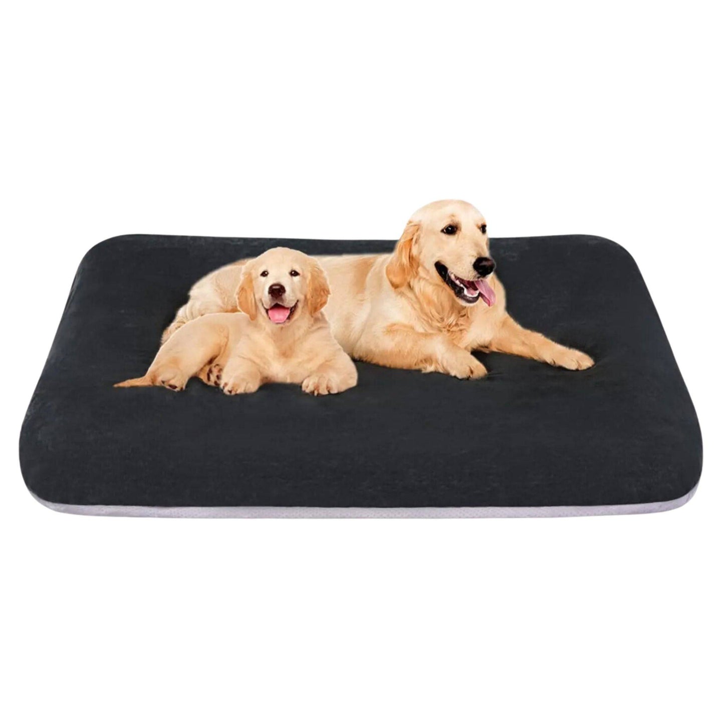 Dark Grey Orthopedic Foam Dog Bed with Removable and Washable Cover for Large Dogs, Anti-Slip Bottom Jumbo Size 47" x 39" x 4" TRENDYPET'S ZONE