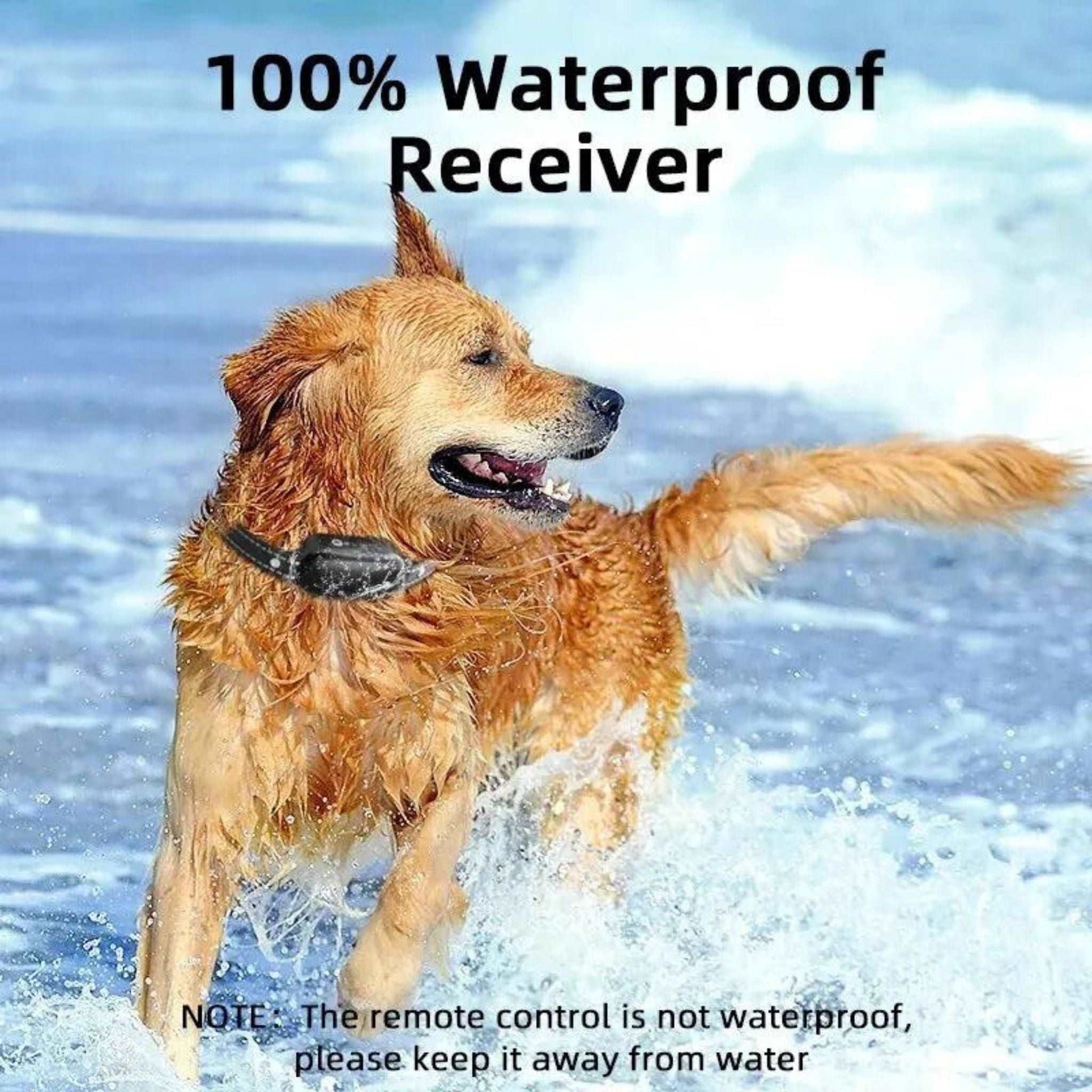 Reflective Dog Shock Collar, IPX7 Waterproof Dog Training Collar with 3300FT Remote, Rechargeable Shock Collar, 3 Training Modes TRENDYPET'S ZONE