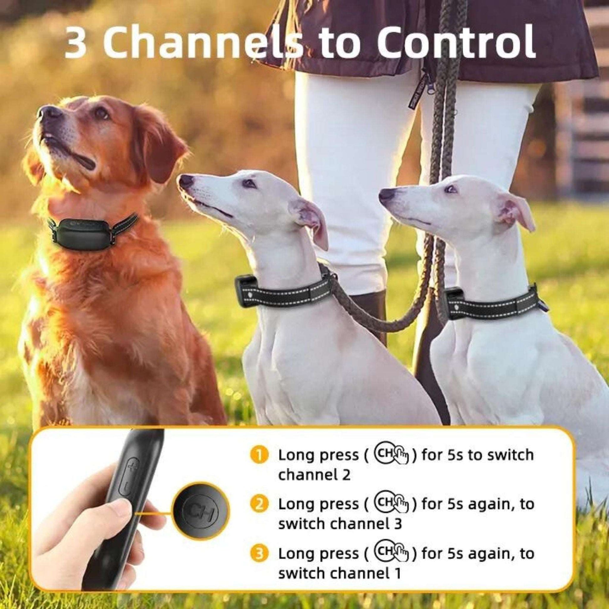 Reflective Dog Shock Collar, IPX7 Waterproof Dog Training Collar with 3300FT Remote, Rechargeable Shock Collar, 3 Training Modes TRENDYPET'S ZONE