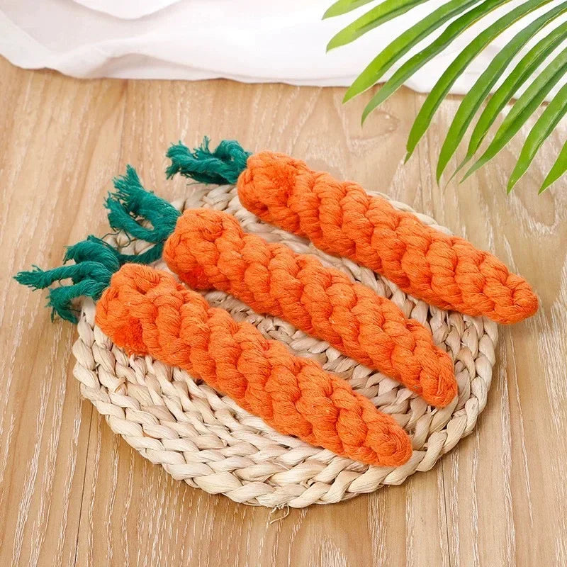 Dog holding a durable cotton rope chew toy carrot knot with green tassel, from TrendyPet's Zone, on a white background.