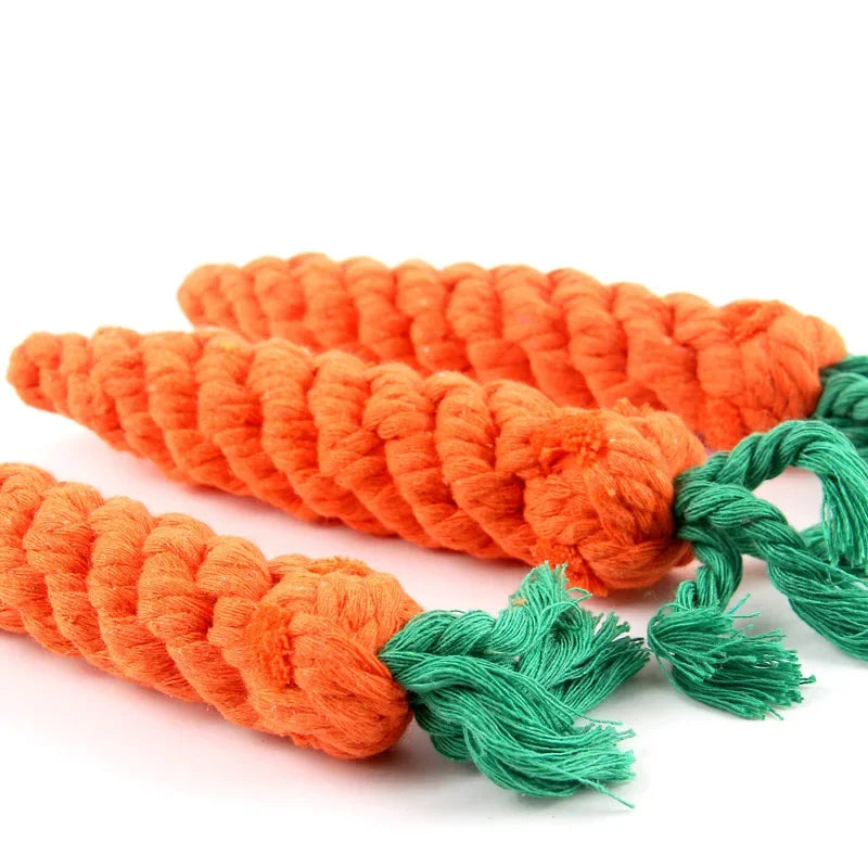 Dog holding a durable cotton rope chew toy carrot knot with green tassel, ideal for chewing and play, by TrendyPet's Zone.