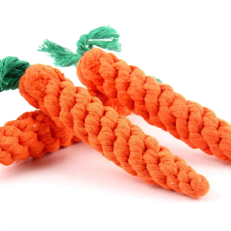 Dog holding TrendyPet's Zone durable cotton rope chew toy carrot knot with green tassel on white background