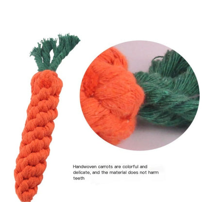 Dog holding a durable cotton rope chew toy shaped like a carrot with a green tassel, from TrendyPet's Zone Chewing Toys.