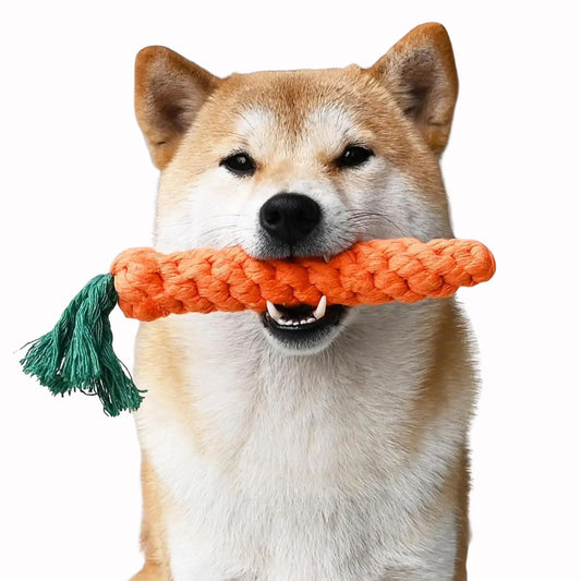 Dog holding a TrendyPet's Zone durable cotton rope chew toy shaped like a carrot with a green tassel, on a white background.