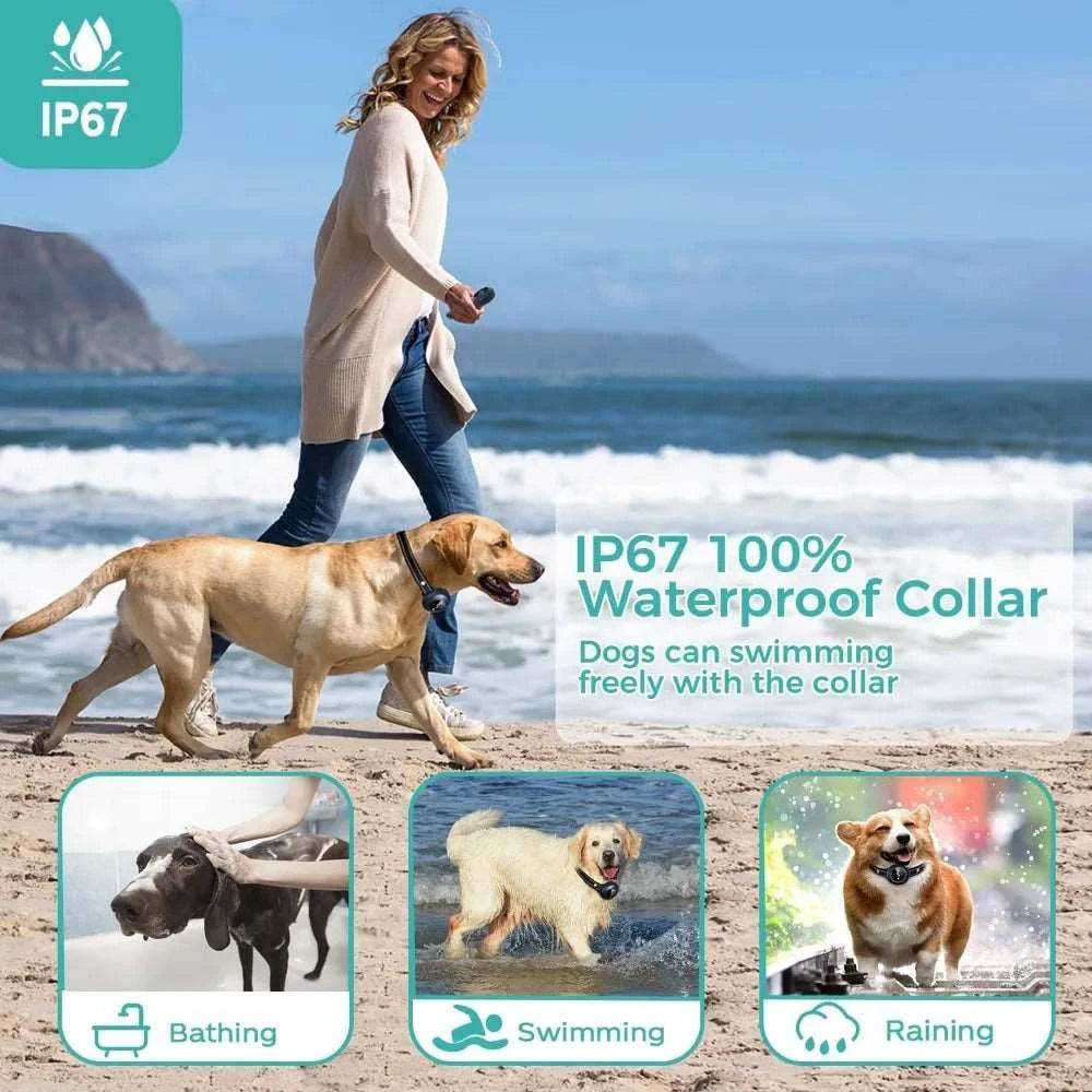 Electronic Training Collar, Auto Bark Collar with Remote, Beep (1-8), Vibration(1-16), Waterproof, Safe, Dog Shock Collar - TrendyPet's Zone