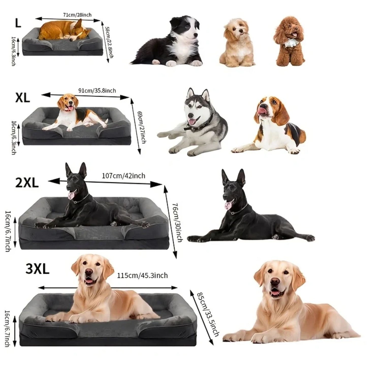 Royal blue orthopedic dog bed by TrendyPet's Zone, washable foam sofa bed with removable cover, support for all seasons.