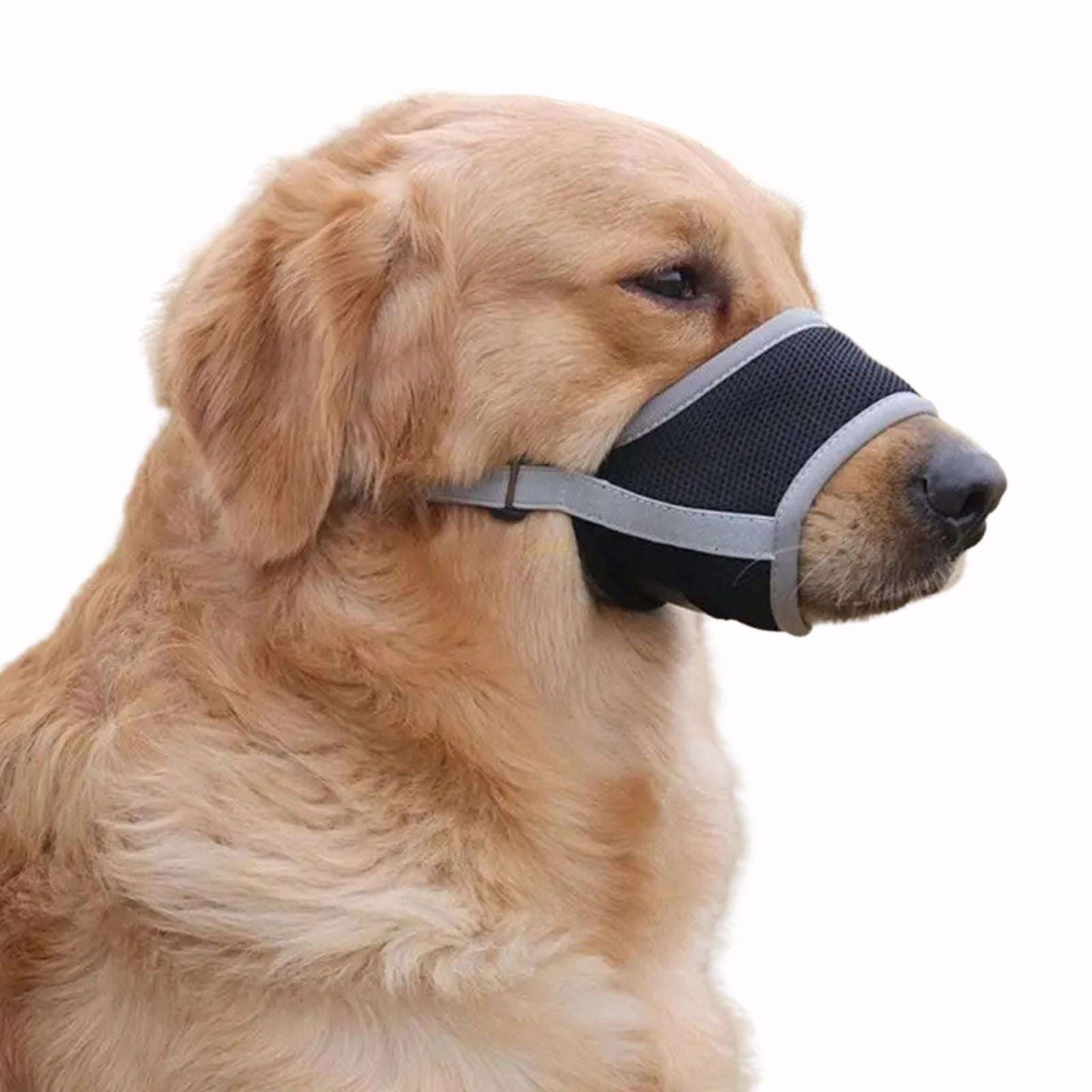 Gray adjustable anti-bark dog muzzle made of breathable soft mesh, designed for comfort and control by TrendyPet's Zone.