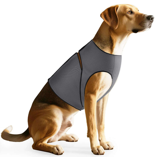 Gray dog anxiety vest by TrendyPet's Zone, calming coat designed for thunder relief and anxiety reduction.