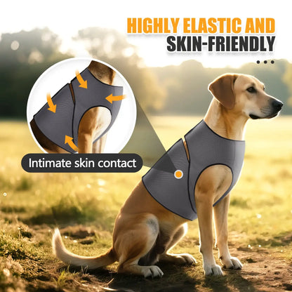 Gray dog anti-anxiety jacket by TrendyPet's Zone, calming coat designed for thunder relief and stress reduction during storms.