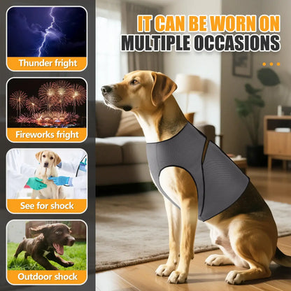 Gray TrendyPet's Zone dog anxiety vest calming coat designed for thunder relief, providing comfort and stress reduction for dogs.