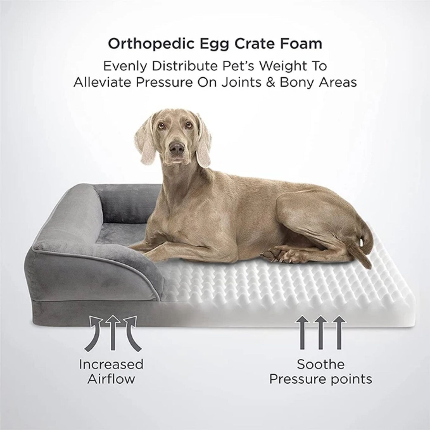 Royal blue TrendyPet's Zone orthopedic washable dog sofa bed with support foam, removable cover, suitable for all seasons.
