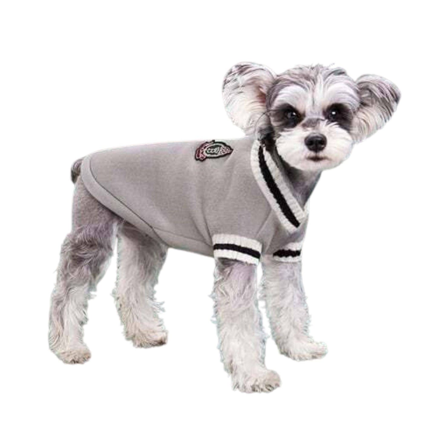 Gray Preppy Style V-Neck Dog Sweater Warm Winter Pet Cloth - TrendyPet's Zone