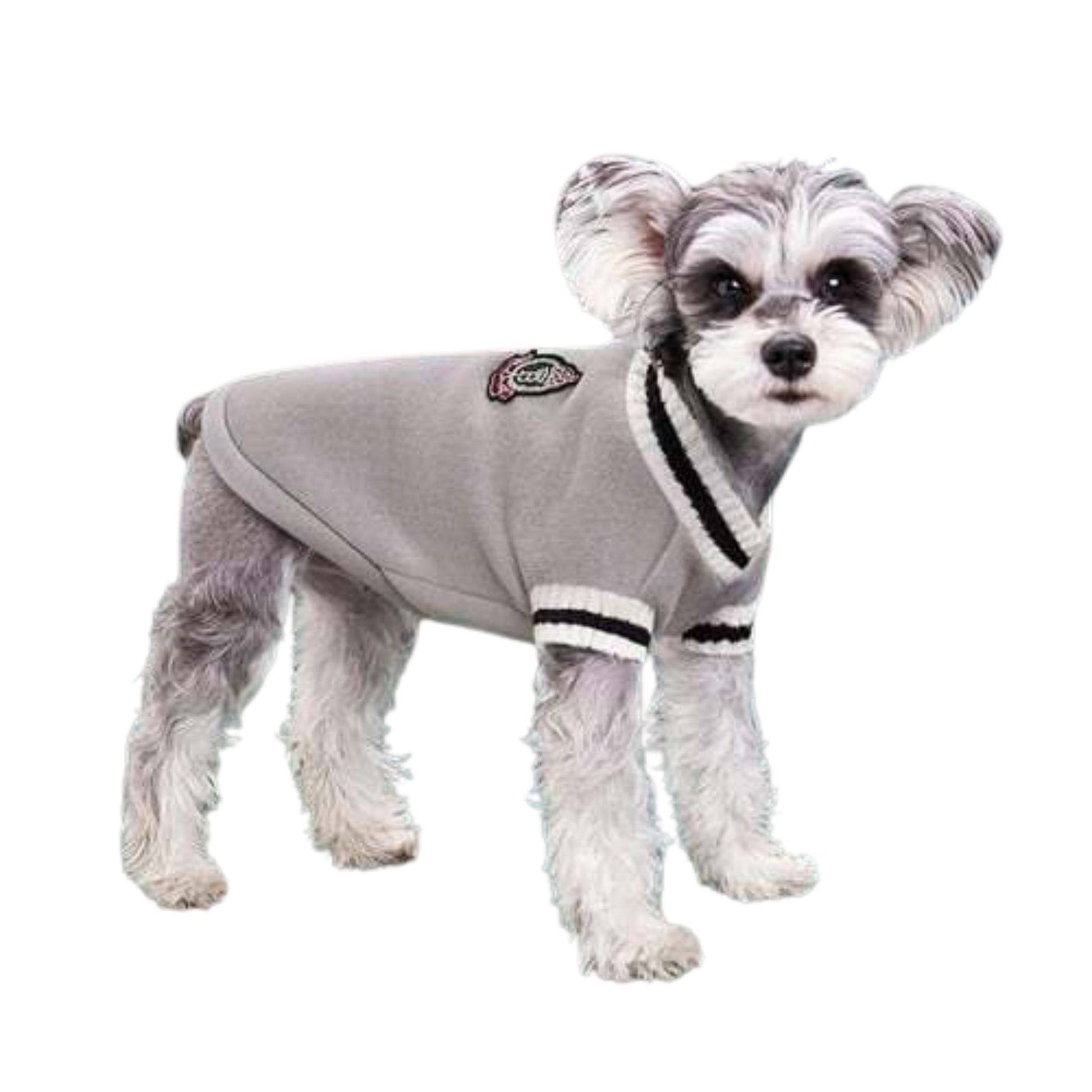 Gray Preppy Style V-Neck Dog Sweater Warm Winter Pet Cloth - TrendyPet's Zone