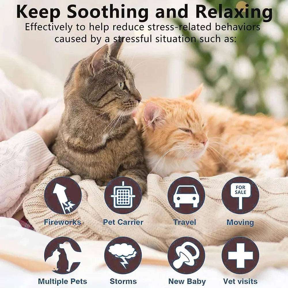 Gray Safe Cat Calming Collar 1Pack/60Days Adjustable Anxiety Reduction Pheromone Lasting Natural Calm Pet Collar Boxed OPP Bag TrendyPet's Zone