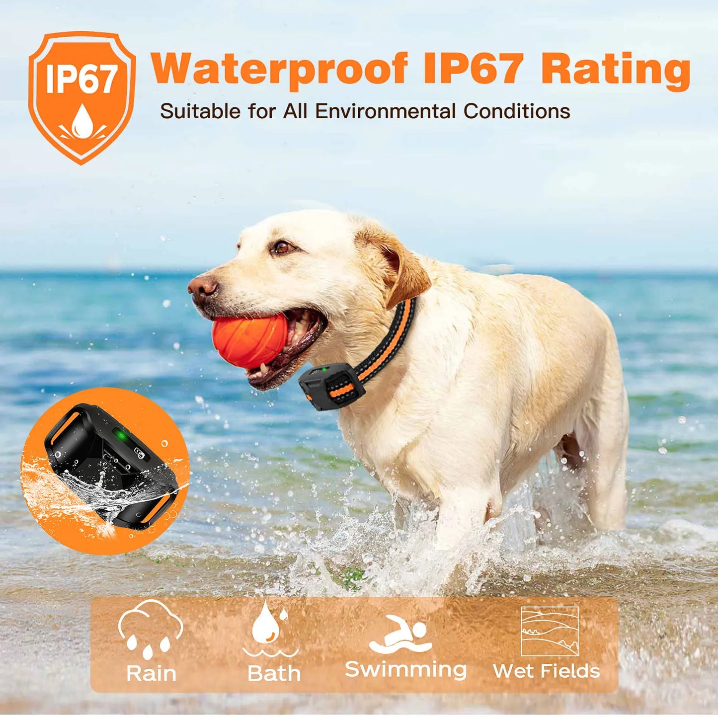 Orange TrendyPet's Zone electronic dog training shock collar with remote, waterproof, rechargeable for small to large dogs.