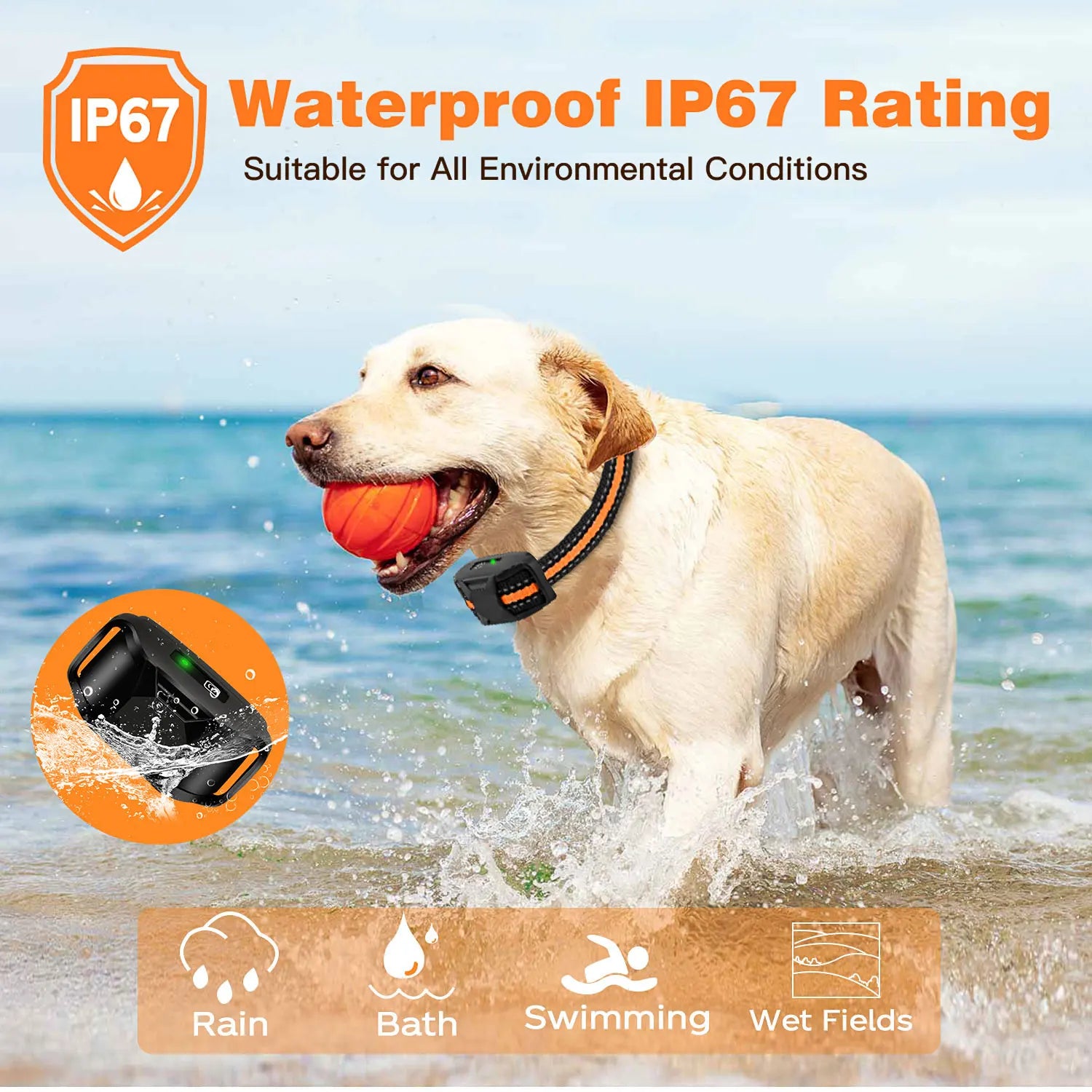 Orange TrendyPet's Zone electronic dog training shock collar with remote, waterproof, rechargeable for small to large dogs.