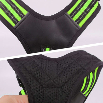 Green adjustable no-pull dog harness with reflective details and soft padding, designed for comfort and control.