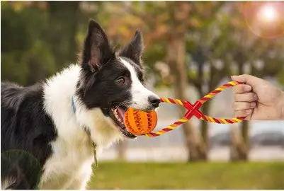 TrendyPet's Zone green hemp rope treat toy with white and burgundy rubber ball for small dogs, chew-resistant and tooth cleaning.