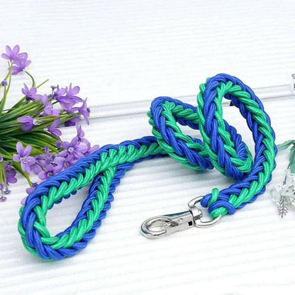 Green Blue Super Strong Coarse Nylon Dog Leash Double Row Adjustable Collar For Medium Large Dogs - TrendyPet's Zone