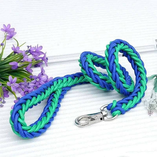 Green Blue Super Strong Coarse Nylon Dog Leash Double Row Adjustable Collar For Medium Large Dogs - TrendyPet's Zone
