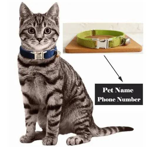 Green Cat Small Dog Collar with Bell Personalized Engraving ID Tag Nameplate Kitten Collars Necklace Small Dogs Puppy Bulldog Chihuahua Yorshire TRENDYPET'S ZONE