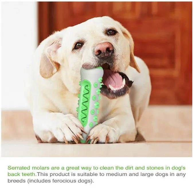 Green Dog Teeth Grinding Stick Gnawing Teeth Clean Bone Dog Tooth Brush Chewing Gum Pet Toy Dog Bite Resistant Molar Training Grinding - TrendyPet's Zone
