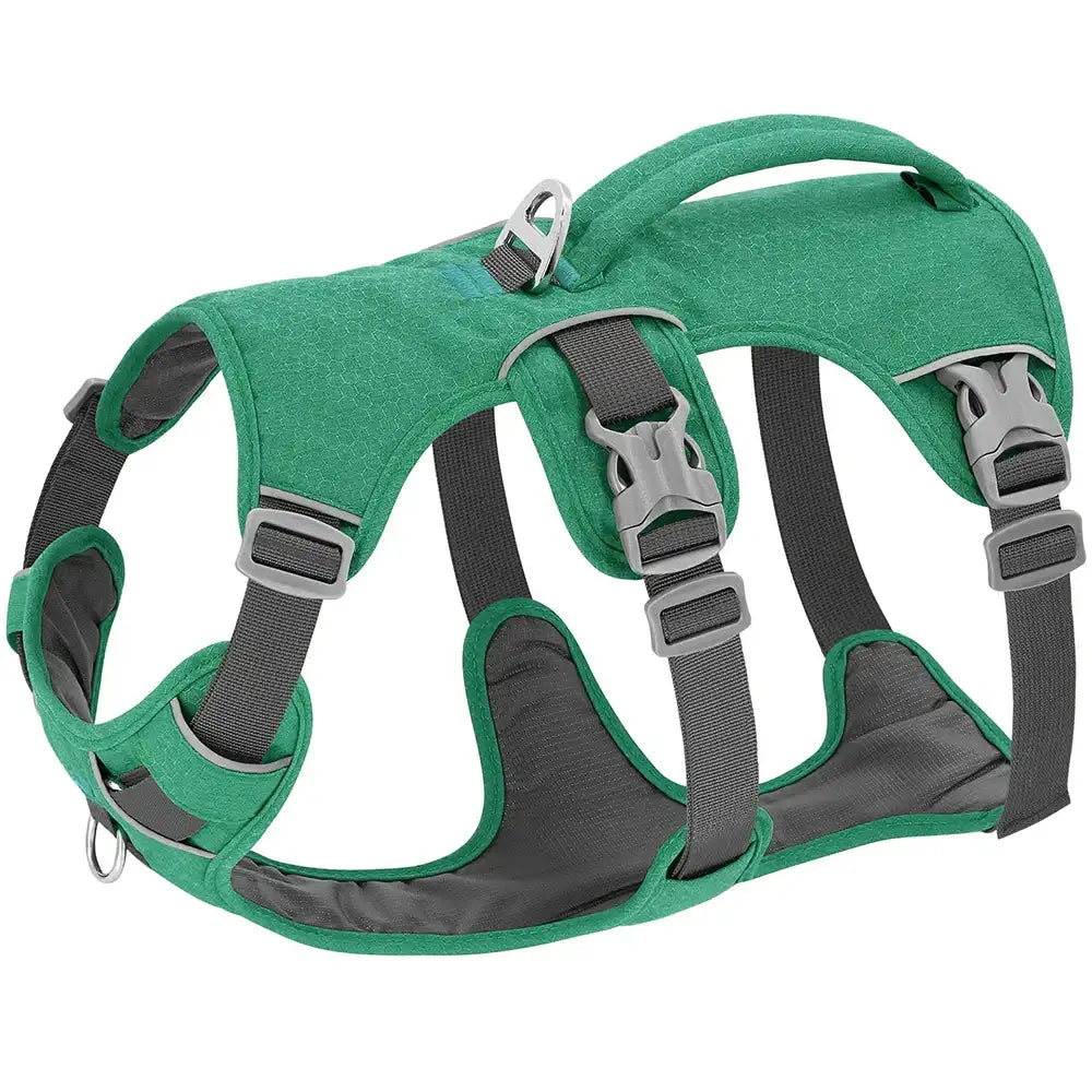 Green escape-proof reflective dog harness from TrendyPet's Zone, durable and adjustable for secure walking and visibility.