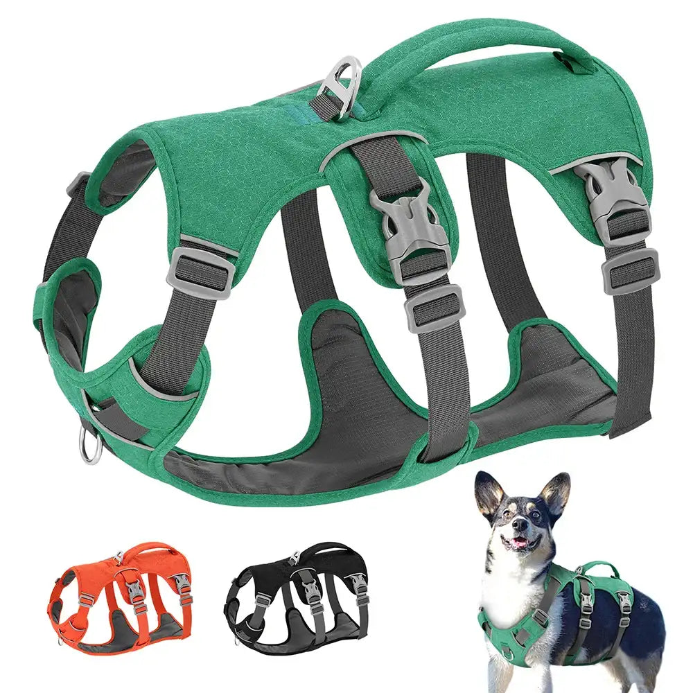 Green Escape-Proof Reflective Dog Harness by TrendyPet's Zone, durable and adjustable for secure, comfortable outdoor walks.
