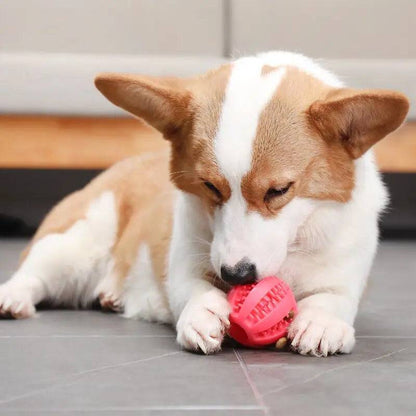 Green Interactive Dog Ball Toys Dispenser Teaser Rubber Chew Toys for Small Big Pet Dogs Cats Tooth Mouth Cleaning Accessories Product TRENDYPET'S ZONE