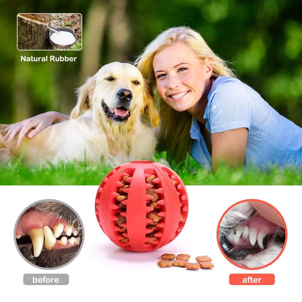 Green Interactive Dog Ball Toys Dispenser Teaser Rubber Chew Toys for Small Big Pet Dogs Cats Tooth Mouth Cleaning Accessories Product TRENDYPET'S ZONE