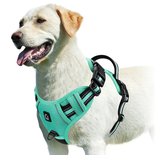 Green No-Pull Dog Harness with Easy Control Handle by TrendyPet's Zone, adjustable for a secure and comfortable fit.