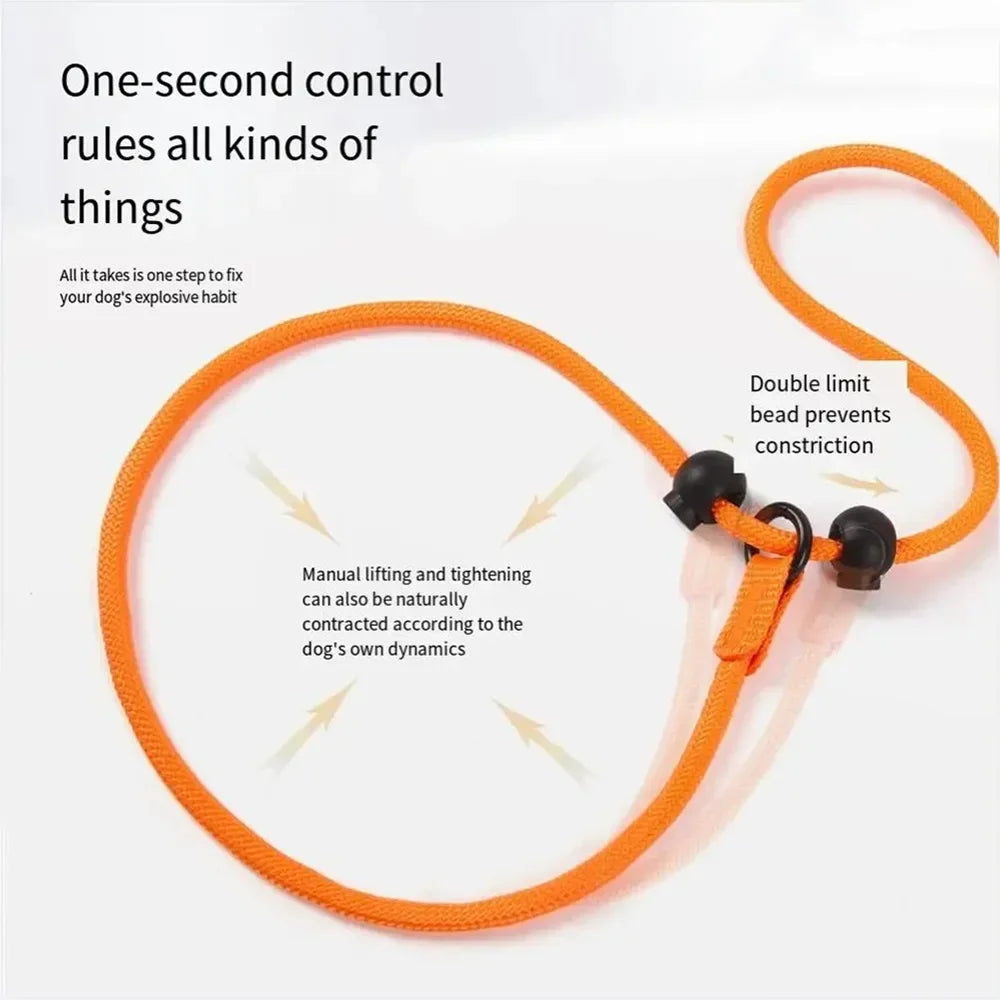 Green nylon no-pull dog walking leash with dual handles, slip lead design, by TrendyPet's Zone for controlled walks.