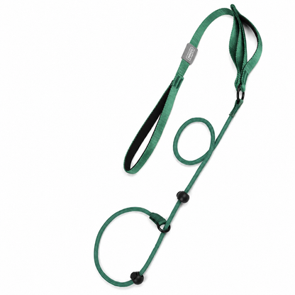 Green nylon no-pull dog leash with dual handles, trendyTrendypet's Zone slip lead for controlled walking and training.