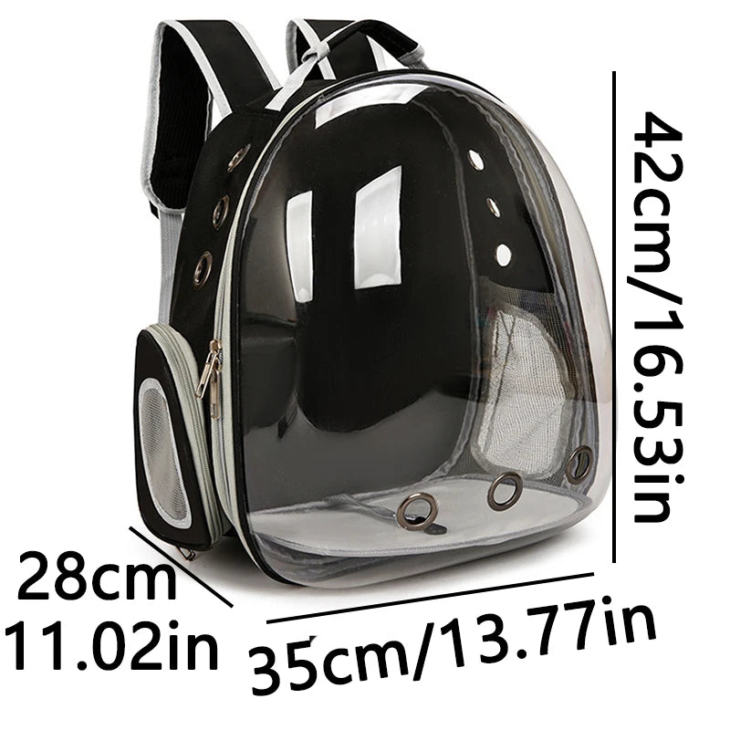 Black TrendyPet's Zone transparent capsule pet carrier backpack with breathable design for small animals, puppies, and kittens.