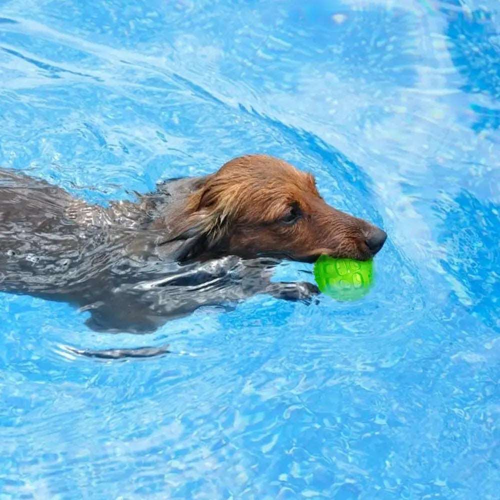 Green Pet Dog Puppy Sounding Toy Squeaky Tooth Cleaning Ball Playing Pet Teeth Chew Rubber Toy Float Funny Pet Dental Care Accessories - TrendyPet's Zone