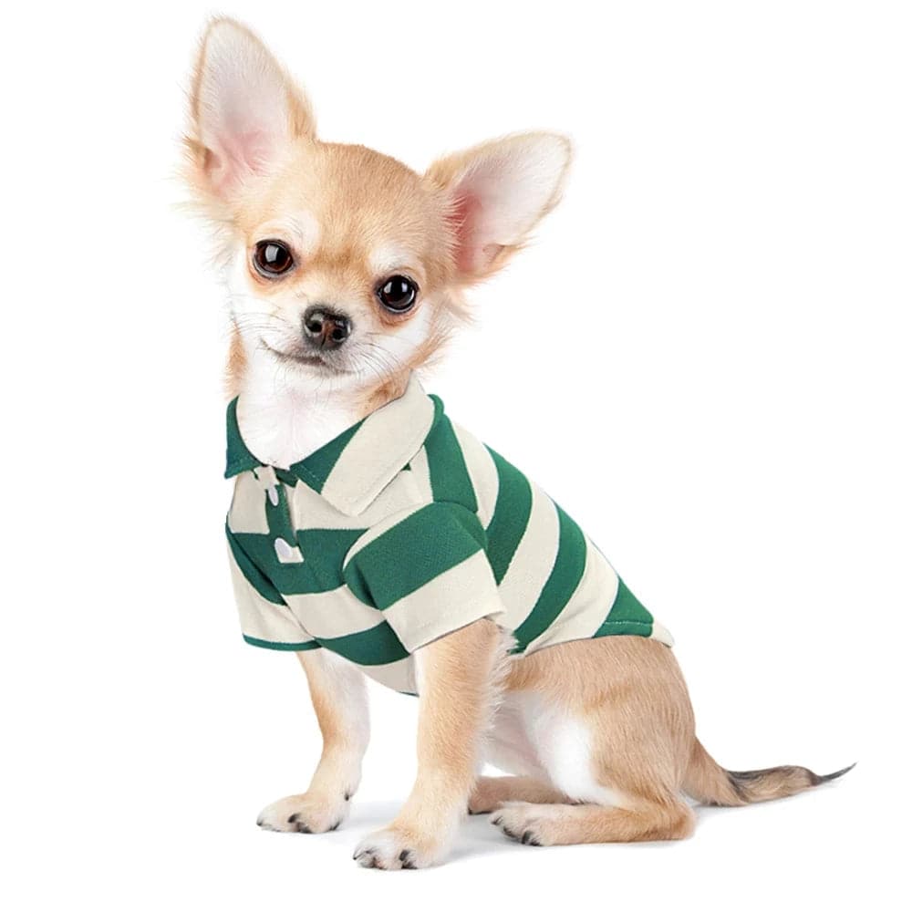 Green pet polo shirt from TrendyPet's Zone, summer casual dog clothing for small to large puppies, comfortable T-shirt style.