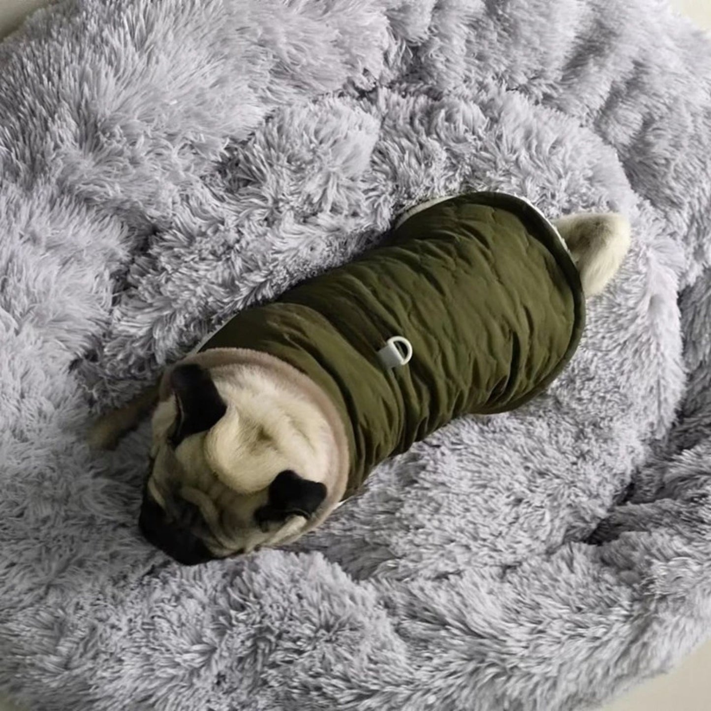 Green Quilted Dog Vest Jacket with Fur Collar Water-Resistant TrendyPet's Zone