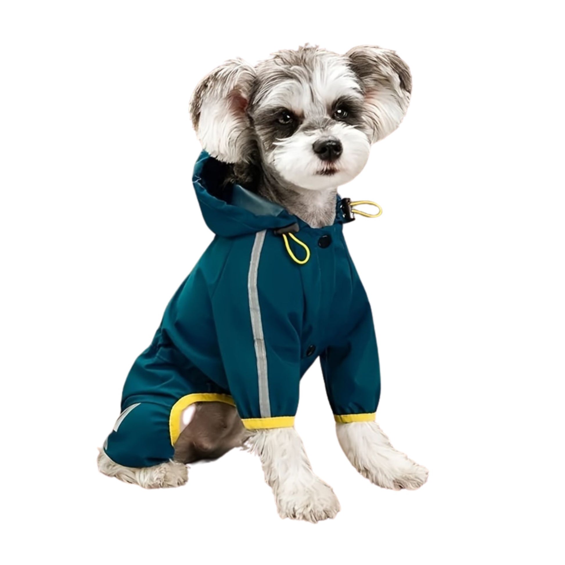 Green reflective waterproof dog raincoat and jumpsuit by TrendyPet's Zone, designed for stylish outdoor protection.
