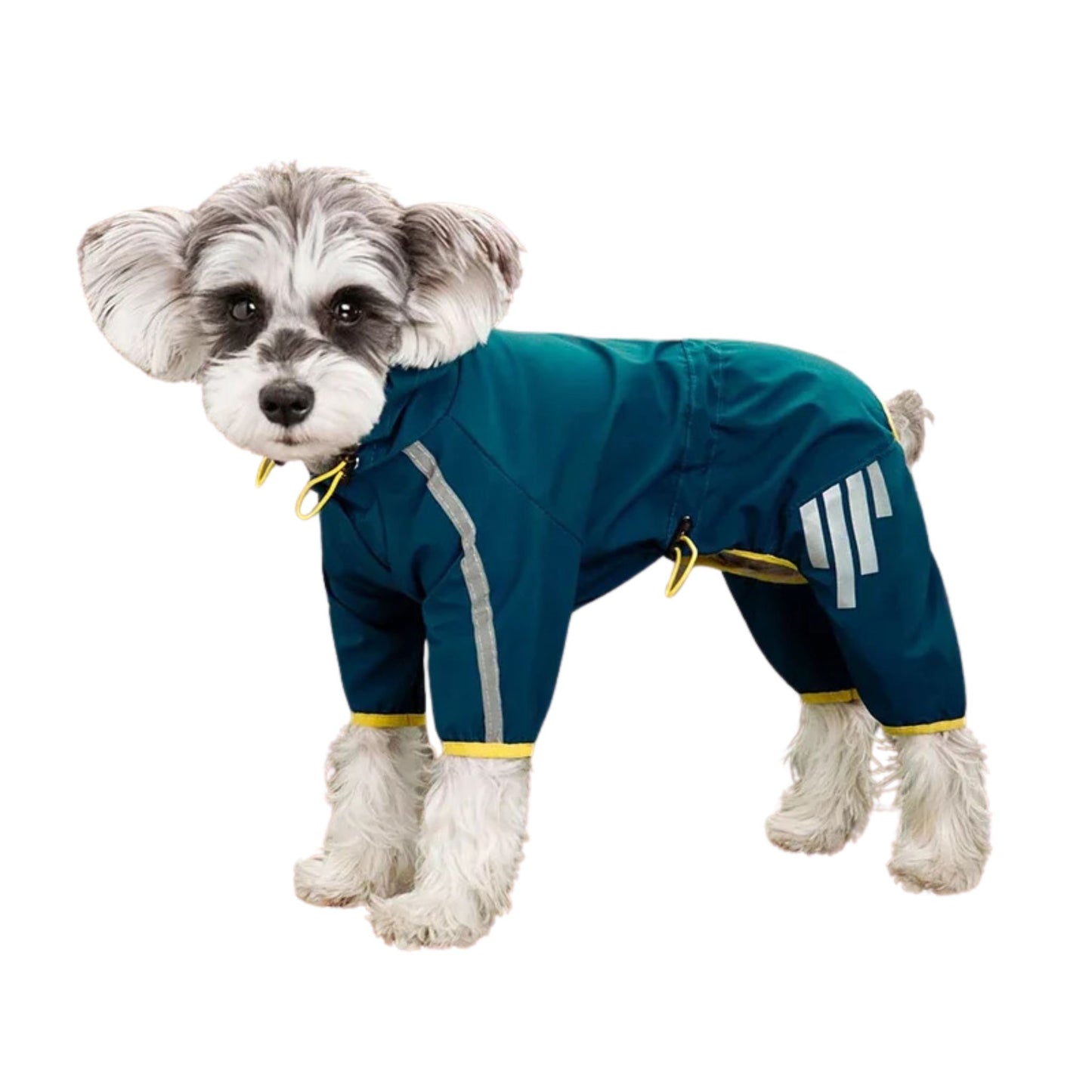Green reflective waterproof dog raincoat and stylish jumpsuit by TrendyPet's Zone, designed for outdoor protection and visibility.
