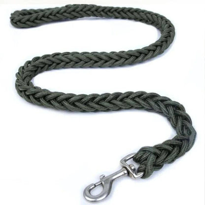 Green Super Strong Coarse Nylon Dog Leash Double Row Adjustable Collar For Medium Large Dogs - TrendyPet's Zone