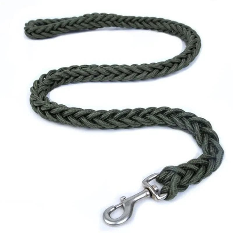 Green Super Strong Coarse Nylon Dog Leash Double Row Adjustable Collar For Medium Large Dogs - TrendyPet's Zone