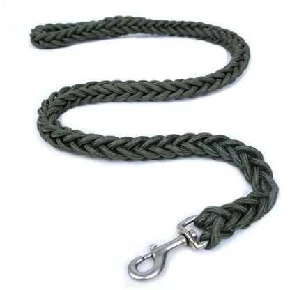 Green Super Strong Coarse Nylon Dog Leash Double Row Adjustable Collar For Medium Large Dogs - TrendyPet's Zone